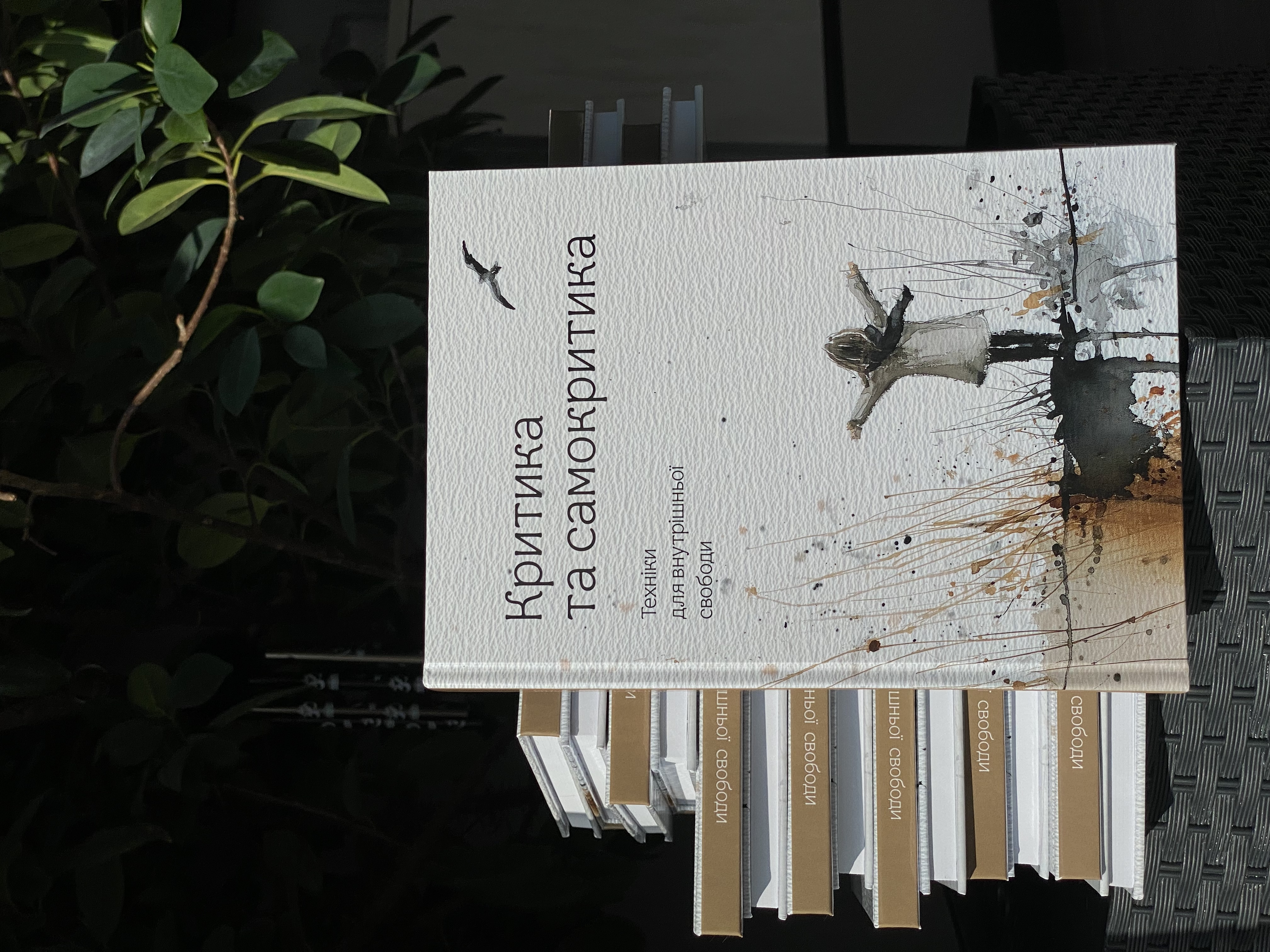 Книга Критика та самокритика